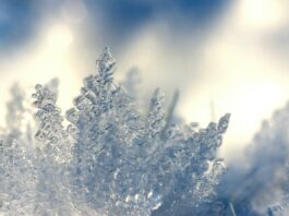 Sončna nedelja v Sloveniji, a prihajajo dež in sneg v tednu