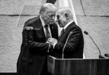 Trumpova vloga pri premirju v Gazi: Pohvale celo od Bidna in Clintona #video