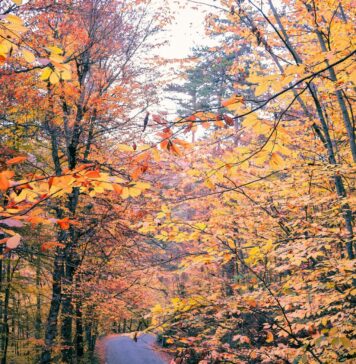Vreme med krompirjevimi počitnicami: Pričakujte sonce in dež
