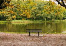 Vreme: Hladna jesen z napovedjo otoplitve