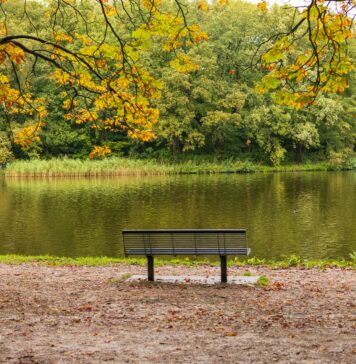 Vreme: Hladna jesen z napovedjo otoplitve