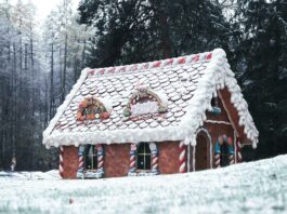 Božični sneg: Ali romantika belega božiča pri nas izginja?