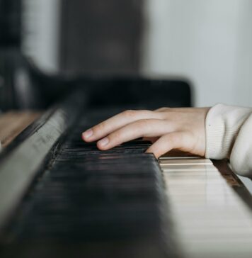 Glasbila proti kosilnicam: Sporna zakonodaja o hrupu razburja glasbenike