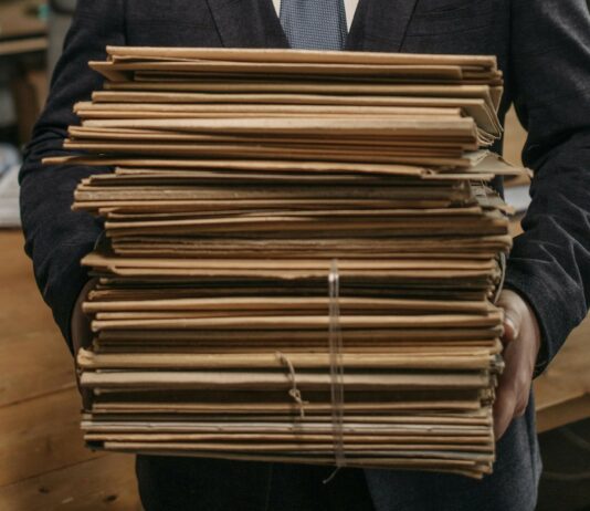 Računsko sodišče razkrilo nepravilnosti na Upravni enoti Vrhnika