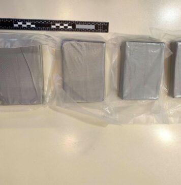 30-letni Srb v Ljubljani z dvema kilogramoma heroina