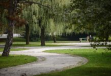 Prenovljeni Bloudkov park v Tivoliju navdušuje z zgodovinskim šarmom